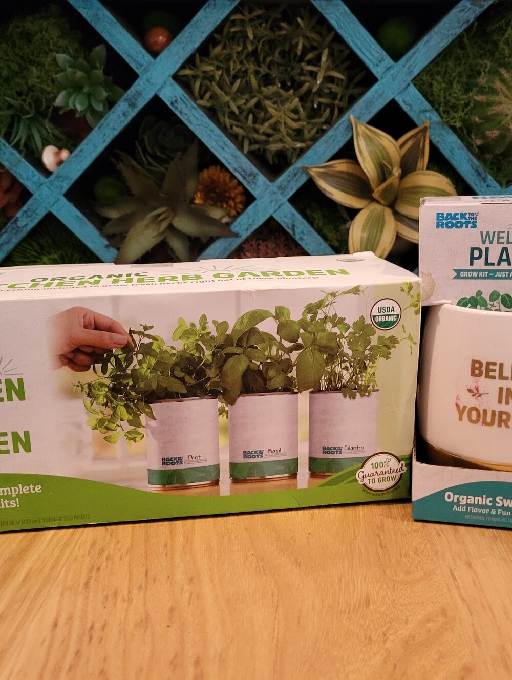 Back to the Roots Organic Herb Garden Kit Cilantro Basil Mint Lemon Balm Kitchen